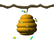 Bee Hive